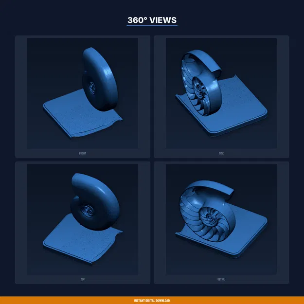 Vỏ Ốc Xoắn Fibonacci – File STL In 3D - Image 3