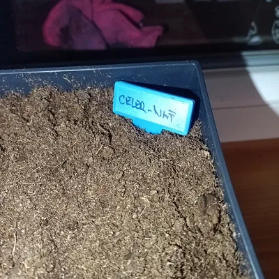 Bảng Tên Cắm Chậu Cây 3D Tiện Lợi