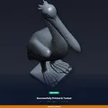 Tượng Bồ Nông Trang Trí Sân Vườn (Pelican Garden Figurine) - File STL in 3D - Thumbnail 8