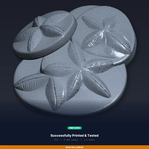 Bộ lót ly Sand Dollar (Sand Dollar Coaster Set) – File STL in 3D - Image 8