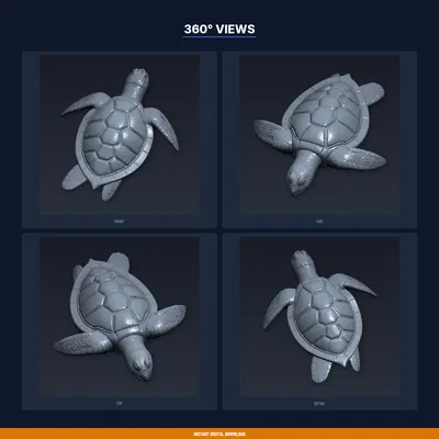 Phù điêu Rùa Biển treo tường – File STL 3D để in