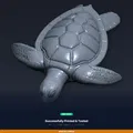 Phù điêu Rùa Biển treo tường – File STL 3D để in - Thumbnail 8
