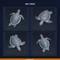 Phù điêu Rùa Biển treo tường – File STL 3D để in - Thumbnail 3