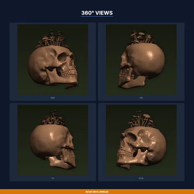 Chậu trồng cây Sọ Người chi tiết chân thực, cây mọc từ đỉnh - File STL in 3D - Image 3