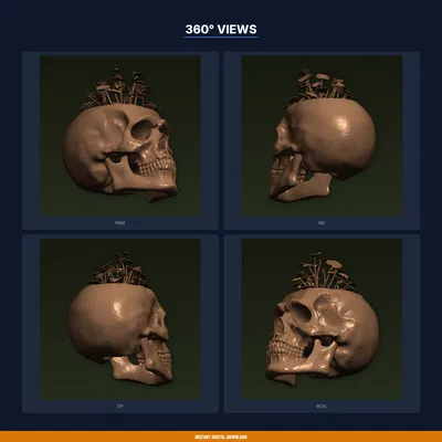 Chậu trồng cây Sọ Người chi tiết chân thực, cây mọc từ đỉnh - File STL in 3D