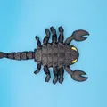 Scorpion Flexi (Bọ cạp dẻo khớp) - Thumbnail 3