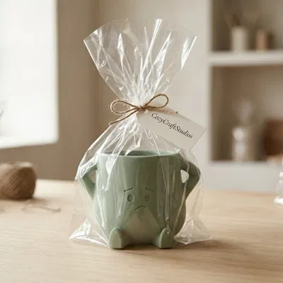 Chậu Cây “Pouty” Mặt Cau Có – Decor Bàn Làm Việc Dễ Thương