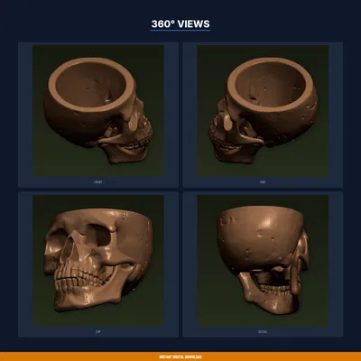 Chậu Sen Đá Đầu Lâu Gothic Cỡ Lớn - File STL In 3D