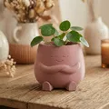 The Calm Pot ♡ - Chậu Cây Bình Yên (Peaceful Planter) - Thumbnail 5