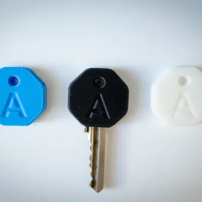 Key Cover/Key Case tuỳ biến: Tròn/Bát giác + Chữ/Số/Chữ tuỳ chọn (kèm file)