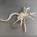 Mô Hình Face Hugger 3D Bẻ Cong Linh Hoạt - Thumbnail 1
