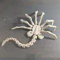 Mô Hình Face Hugger 3D Bẻ Cong Linh Hoạt - Thumbnail 2