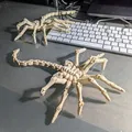 Mô Hình Face Hugger 3D Bẻ Cong Linh Hoạt - Thumbnail 5