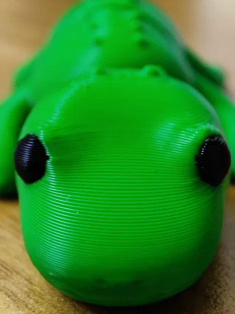 Cá sấu Flexi tí hon siêu dễ thương – Wiggle Croc - Image 5