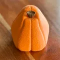 Bí Ngô Ói Mửa (The Barfing Pumpkin) - Thumbnail 4