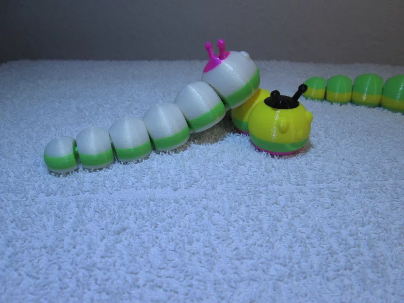 Flexible Caterpillar (Sâu bướm dẻo linh hoạt) - Image 5