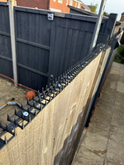 Thanh chống mèo có lỗ bắt vít (Anti Cat strip with mounting holes) - Image 2