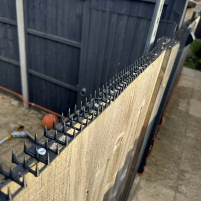 Thanh chống mèo có lỗ bắt vít (Anti Cat strip with mounting holes)