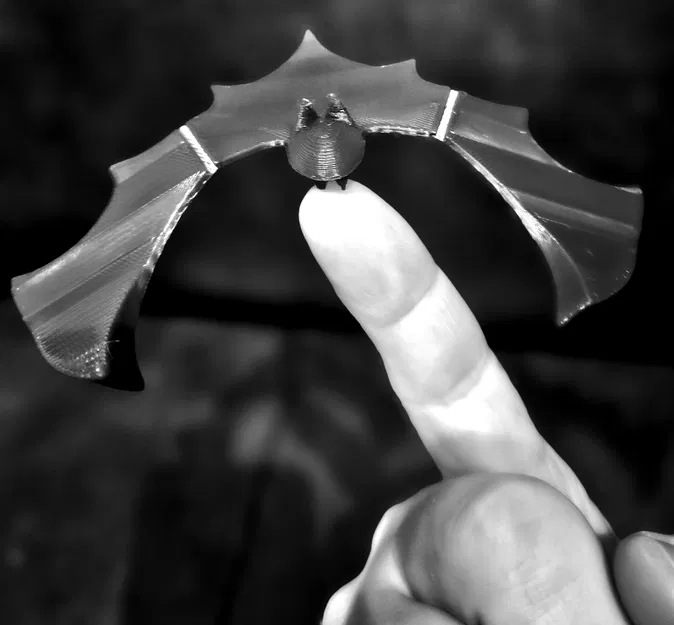 Dơi tự cân bằng (Self-balancing bat) - Image 2