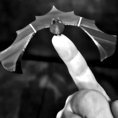 Dơi tự cân bằng (Self-balancing bat)