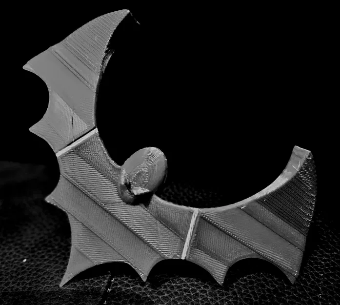 Dơi tự cân bằng (Self-balancing bat) - Image 7