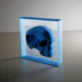 String Art Sọ Vỡ Mảnh (Fragmented Skull String Art) - Thumbnail 2