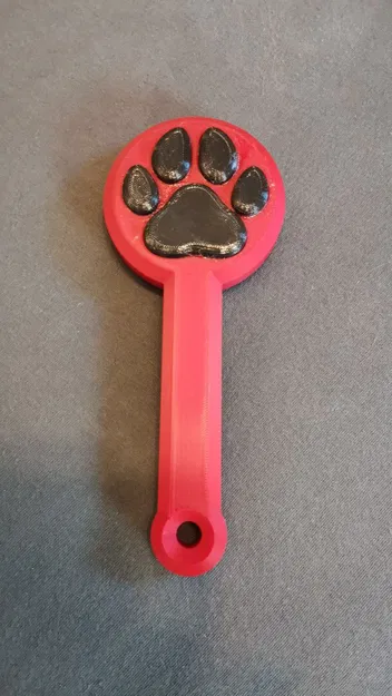 Paw Paddle – Paddle hình bàn chân dễ thương - Image 1