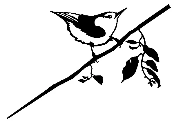 Mô Hình Chim Nuhatch 3D Sáng Tạo - Image 2