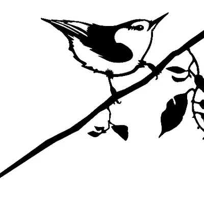 Mô Hình Chim Nuhatch 3D Sáng Tạo