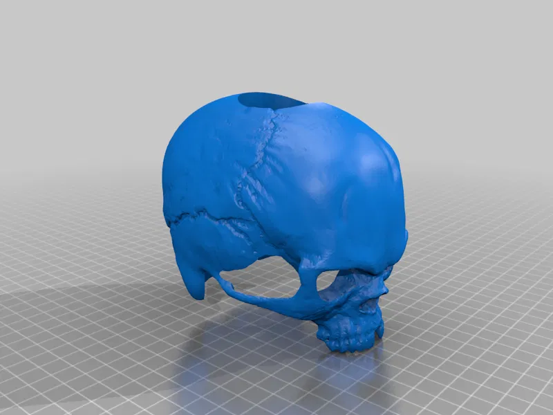 Bottle Skull – Ốp sọ trang trí cho chai - Image 2