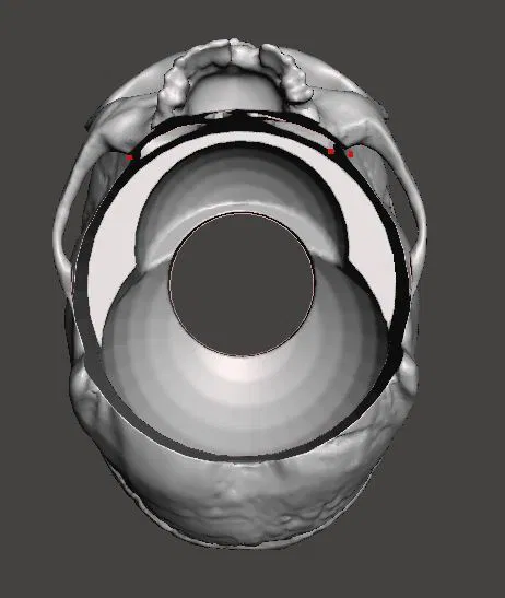 Bottle Skull – Ốp sọ trang trí cho chai - Image 3