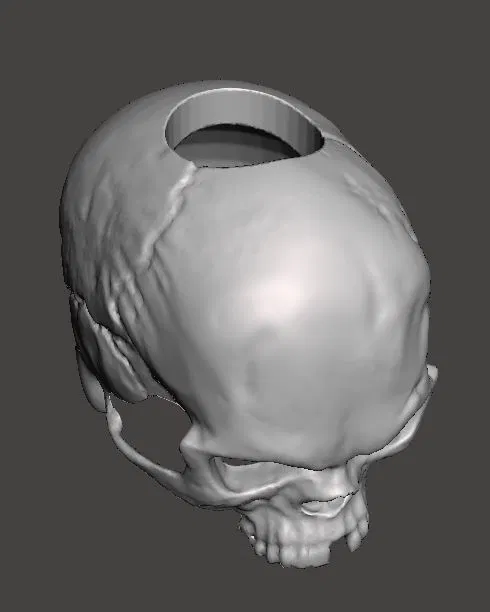 Bottle Skull – Ốp sọ trang trí cho chai - Image 4