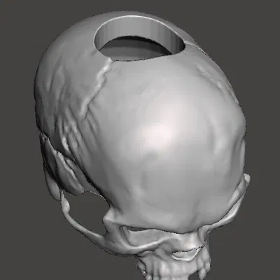 Bottle Skull – Ốp sọ trang trí cho chai