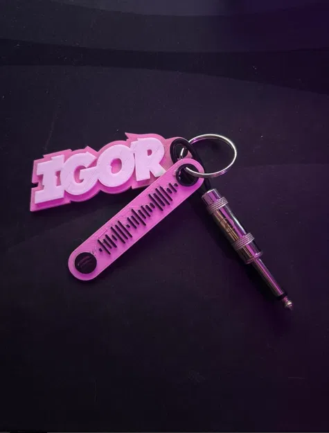 Móc Khóa Spotify Code IGOR Tyler The Creator Độc Đáo - Image 1