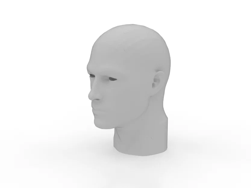 Mô hình Đầu Người Tỷ Lệ Thực - Công Cụ Hỗ Trợ Tạo Mẫu 3D - Image 1