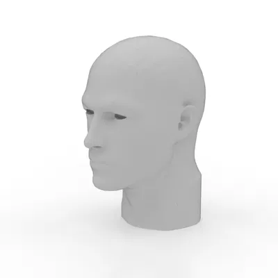 Mô hình Đầu Người Tỷ Lệ Thực - Công Cụ Hỗ Trợ Tạo Mẫu 3D