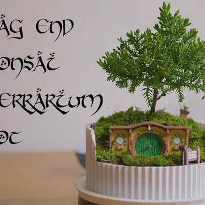 Chậu Bonsai Terrarium Hobbiton (Lord of the Rings) - Bag End