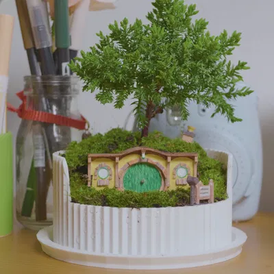 Chậu Bonsai Terrarium Hobbiton (Lord of the Rings) - Bag End