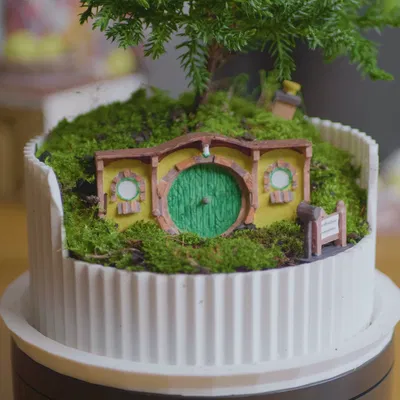 Chậu Bonsai Terrarium Hobbiton (Lord of the Rings) - Bag End