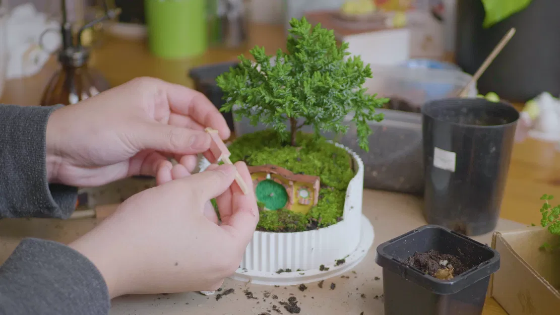 Chậu Bonsai Terrarium Hobbiton (Lord of the Rings) - Bag End - Image 6