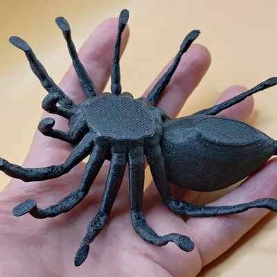 Nhện Tarantula Bự - gắn nam châm