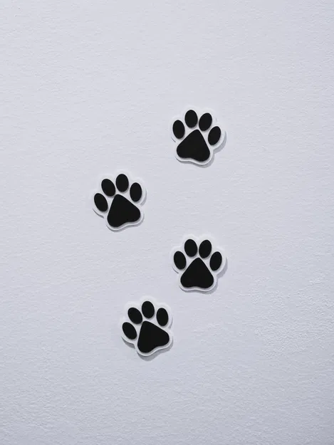 Trang Trí Tường Hình Dấu Chân Chó Độc Đáo - Image 1