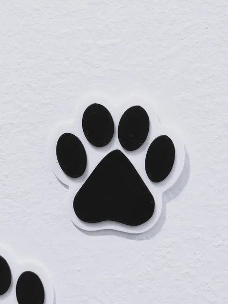 Trang Trí Tường Hình Dấu Chân Chó Độc Đáo - Image 2