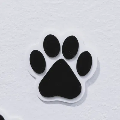Trang Trí Tường Hình Dấu Chân Chó Độc Đáo