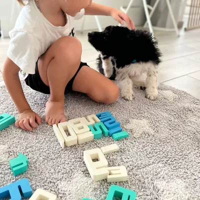 Khối Toán Montessori Xếp & Đếm – Nền Tảng Toán Học Sớm