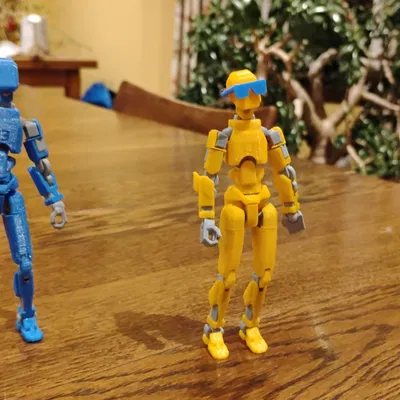 Kính mát Dummy 13 (Dummy 13 Sunglasses)