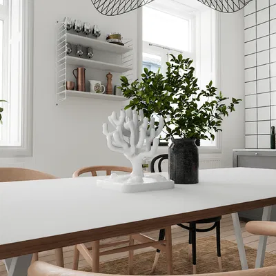 Mẫu San Hô Hiện Đại 3D - Trang Trí Độc Đáo