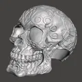 Celtic skull hide – Hang trú ẩn hình sọ Celtic cho thú cưng - Thumbnail 1