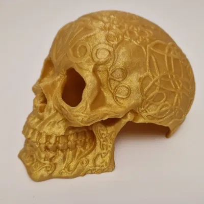 Celtic skull hide – Hang trú ẩn hình sọ Celtic cho thú cưng