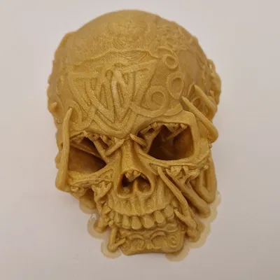 Celtic skull hide – Hang trú ẩn hình sọ Celtic cho thú cưng